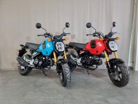 Honda MSX 125 Grom I MJ24 I JETZT VORBESTELLEN Bayern - Neu Ulm Vorschau