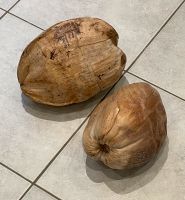 Kokosnuss Kokosnüsse Deko-Kokosnuss Nordrhein-Westfalen - Kamp-Lintfort Vorschau