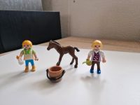 Playmobil Pferde Set  - Tiere - Reiterhof  - Bauernhof  - Zubehör Hessen - Homberg (Efze) Vorschau
