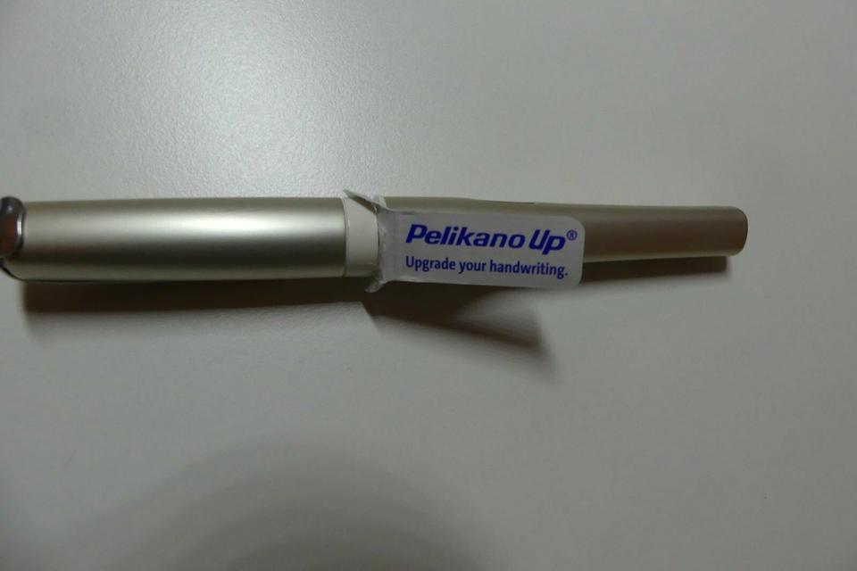 Pelikano Up Füller champagner Feder M für Linkshänder | NEU in Delmenhorst