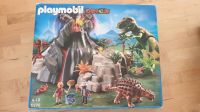 Playmobil 5230 top mit original Karton, Poster Baden-Württemberg - Heitersheim Vorschau