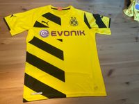 BVB Trikot Gr S Saison 14/15 Niedersachsen - Westoverledingen Vorschau