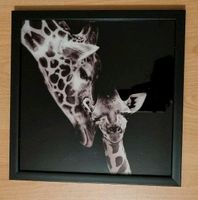 Wandbild Giraffe Niedersachsen - Göttingen Vorschau