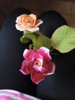 2 schöne Porzellan Rosen Kreis Pinneberg - Tornesch Vorschau