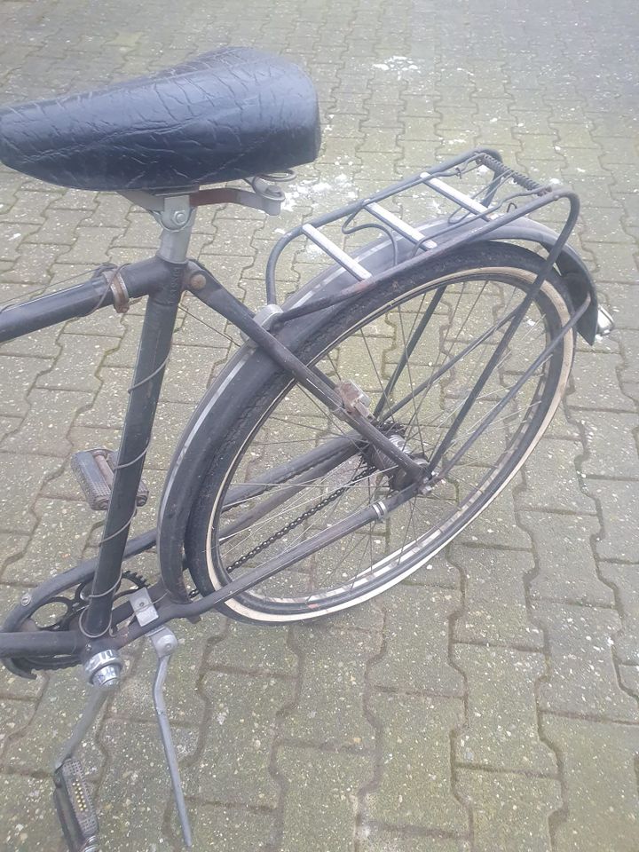 Miele Fahrrad in Borchen