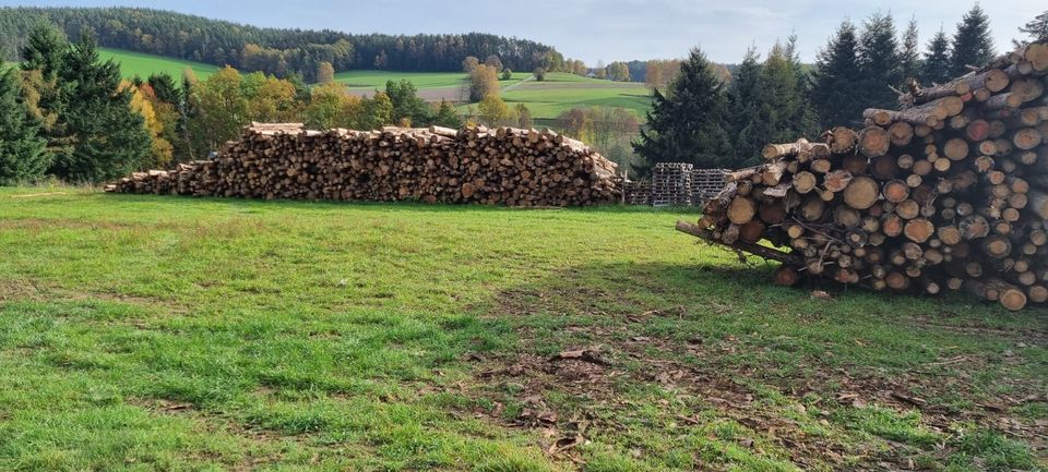 Brennholz-Ofenfertig-Fichte/Kiefer im BIG BAG in Vohenstrauß