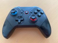 NSW Pro Pad X Controller für Nintendo Switch Baden-Württemberg - Rheinfelden (Baden) Vorschau