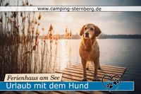 Urlaub mit Hund | Campingplatz | Ferienhaus *hundefreundlich* Parchim - Landkreis - Sternberg Vorschau