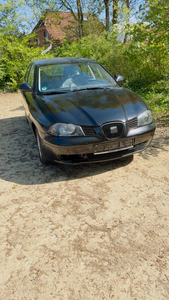 Seat Ibiza 6J in Wilstedt