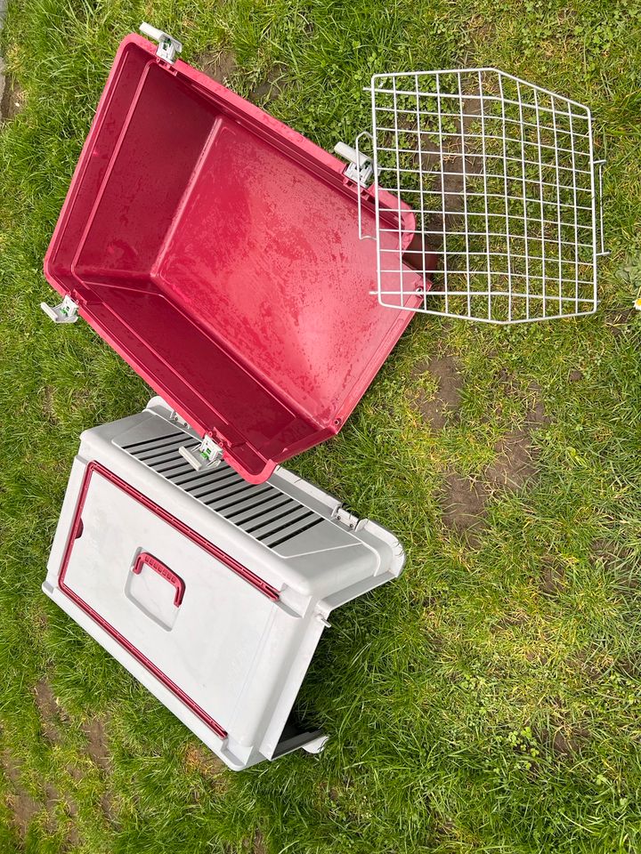 ATLAS 40 Transportbox für Hunde,Katzen, Papageien, Vogel in Augsburg