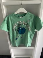 T Shirt Zara Gr. 104 grün Nordrhein-Westfalen - Stolberg (Rhld) Vorschau