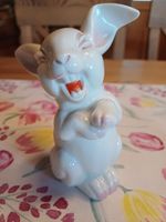 Rosenthal Lachender Osterhase Nordrhein-Westfalen - Lübbecke  Vorschau