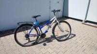 Fahrrad zu verkaufen Bayern - Estenfeld Vorschau