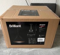 Pendelleuchte Jesper Brilliant NEU OVP UVP 174,99€ Industrial Nordrhein-Westfalen - Recklinghausen Vorschau