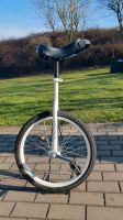 Einrad weiß Terra Bikes 20 Zoll inkl. Ständer Bayern - Bechhofen Vorschau