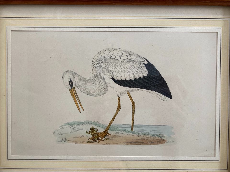 Antikes Bild Kunst Klapperstorch Storch mit Frosch Vintage in München