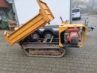 Kettendumper Minitrac 1003 Dreiseitenkipper Nordrhein-Westfalen - Lienen Vorschau