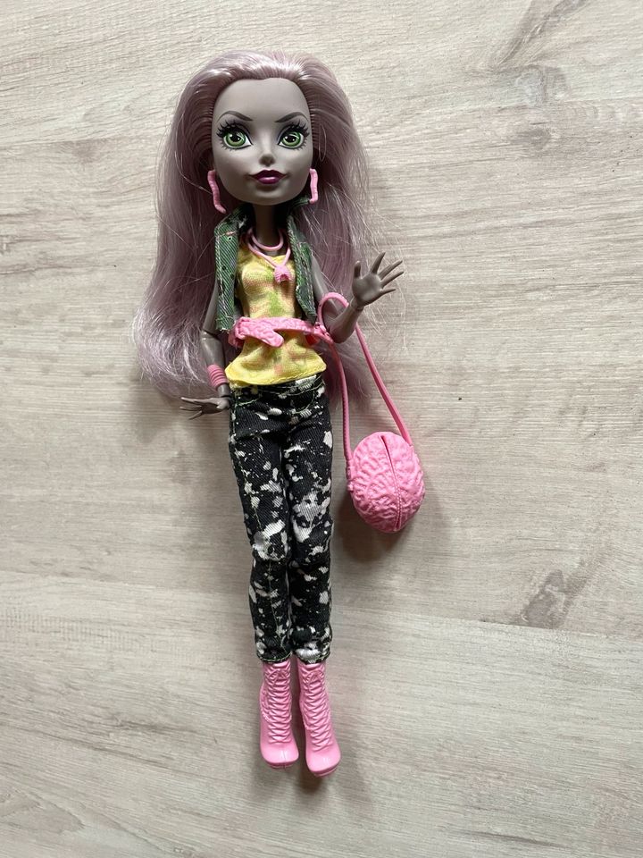 Monster high Puppen Moanica d’kay in Bad Muskau