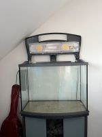 Aquarium komplett 130 Liter und Unterschrank von Tetra NP 600,- Nordrhein-Westfalen - Niederkassel Vorschau