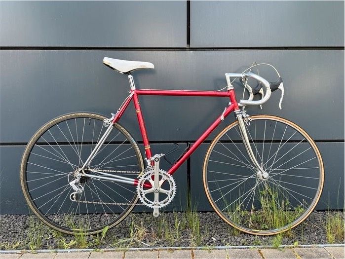 VICINI RENNRAD CAMPAGNOLO VINTAGE in Ludwigshafen