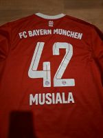 FC Bayern München Trikot Langarm 22/23 Brandenburg - Großräschen Vorschau