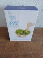 Lama Planter Baden-Württemberg - Vaihingen an der Enz Vorschau