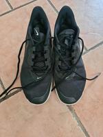Nike Turnschuhe 43 schwarz Schleswig-Holstein - Quarnbek Vorschau