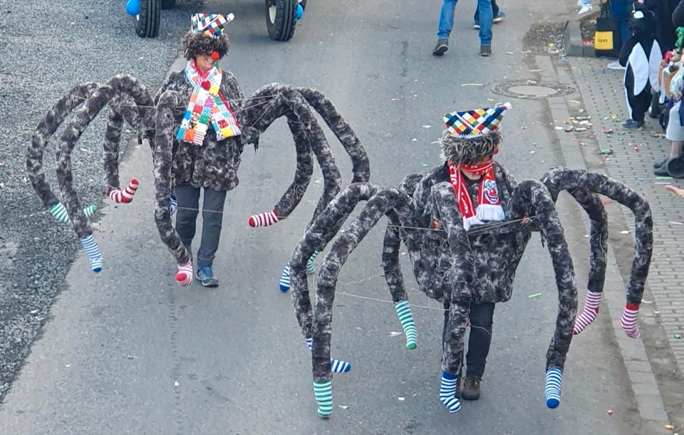 Karneval, Kostüm,  Harry Potters Irrwichte, lustig Riesenspinnen in Kreuzau