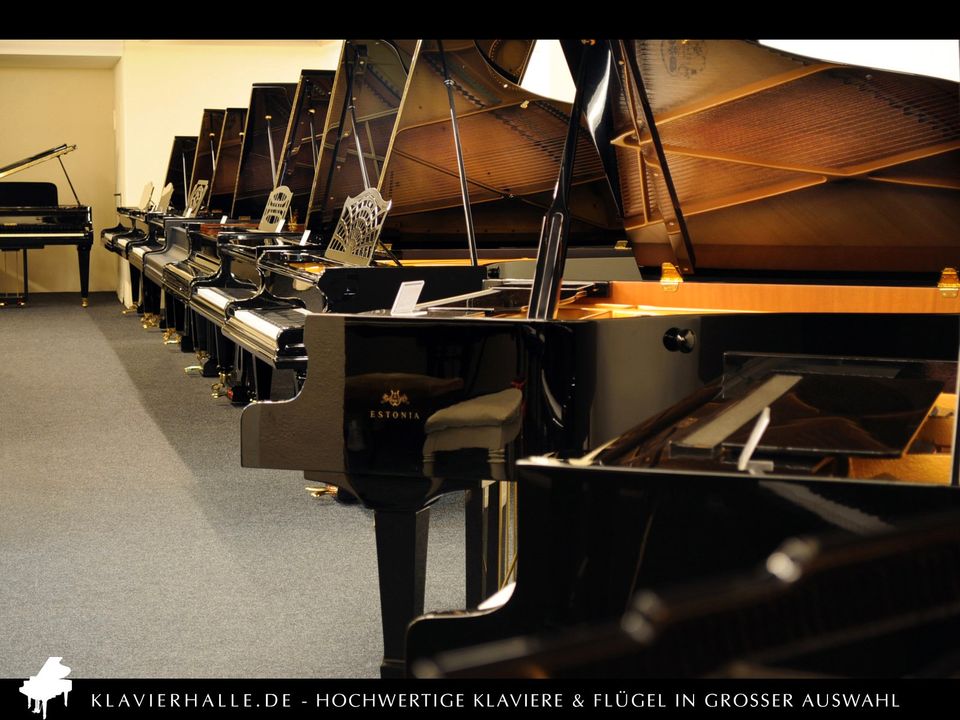 Klangvolles W.Hoffmann Klavier, 117T, schwarz poliert ★ Bj.2002 in Altenberge