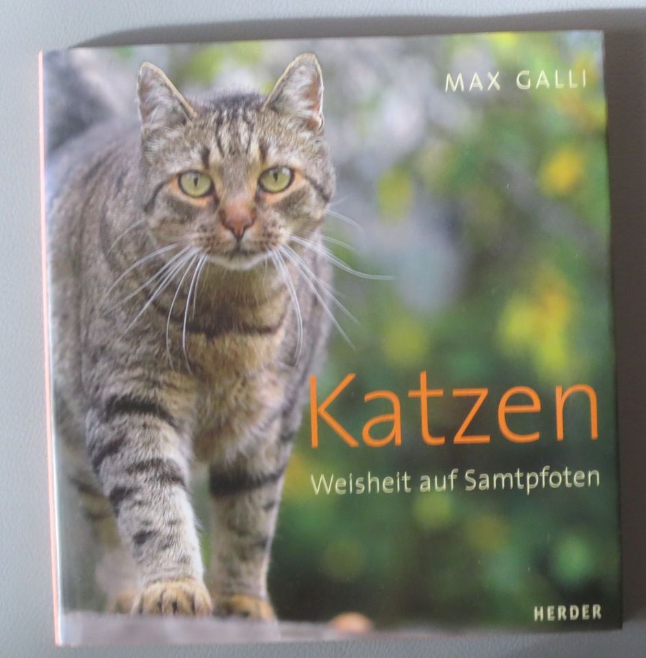 Katzen. Weisheit auf Samtpfoten (Max Galli) Bildband in Hamburg