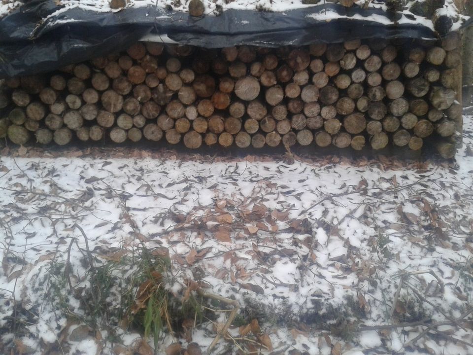 Brennholz trocken, in Wangen im Allgäu
