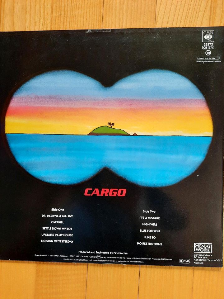 Vinyl Mike Oldfield, Nena, Cargo, Hall&Oates, Tanita Tikaram in Neumarkt i.d.OPf.