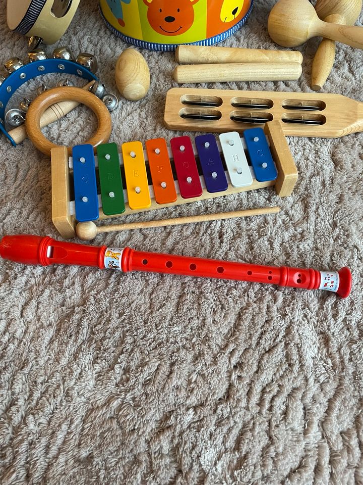 Musikinstrumente für Kinder / Xylophon Trommel Klangstäbe Rasseln in Tangstedt 