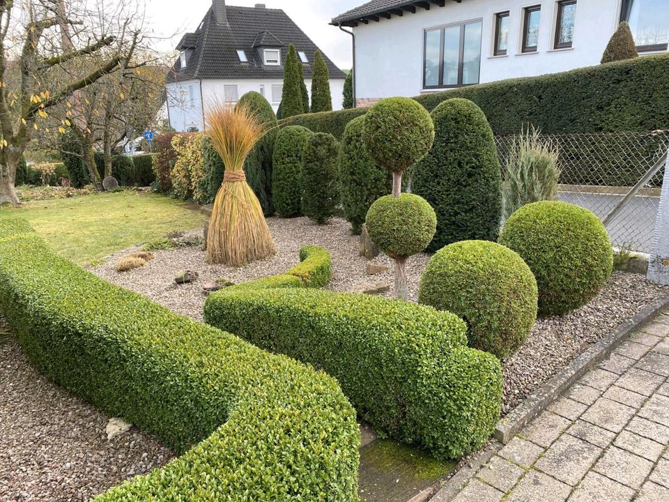 Garten/Objekt Pflege in Herzberg am Harz