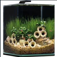 SUCHE* Nano-Cube, Garnelen bunt mix, Schwarz Sand, aquapflanzen Brandenburg - Schwedt (Oder) Vorschau