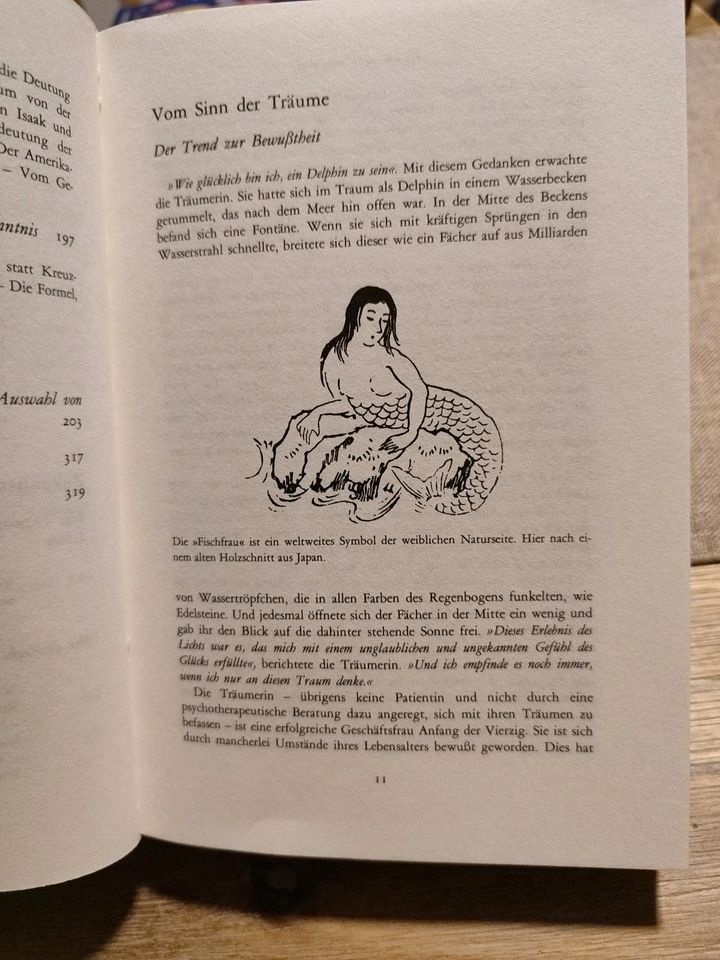 Traumdeutung Buch / Heft in Fritzlar