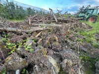 Holz zum selber abholen ( Apfelholz) Bayern - Lindau Vorschau