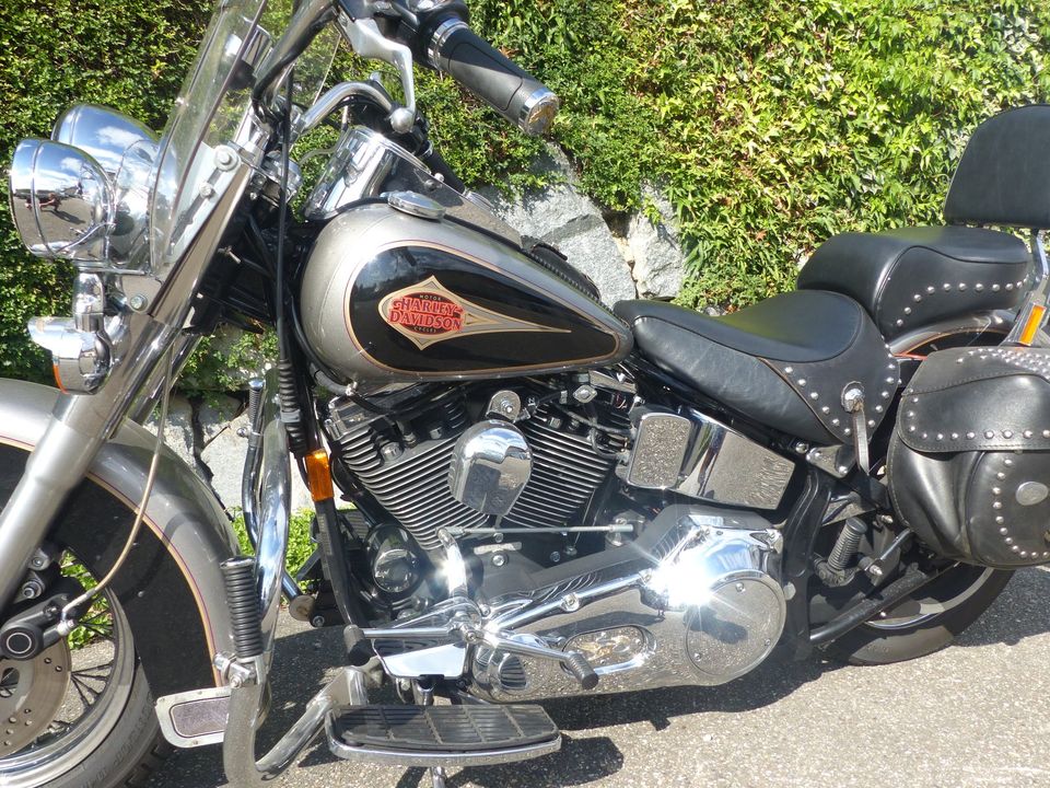 Harley Davidson Heritage Softail in Herbolzheim