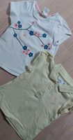 Tshirts Set 2 Stück Gr. 80 H&M Sachsen - Großenhain Vorschau