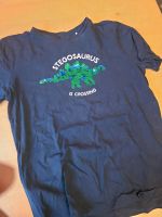 2 T-Shirt  und ein Shirt Dinosaurier München - Pasing-Obermenzing Vorschau