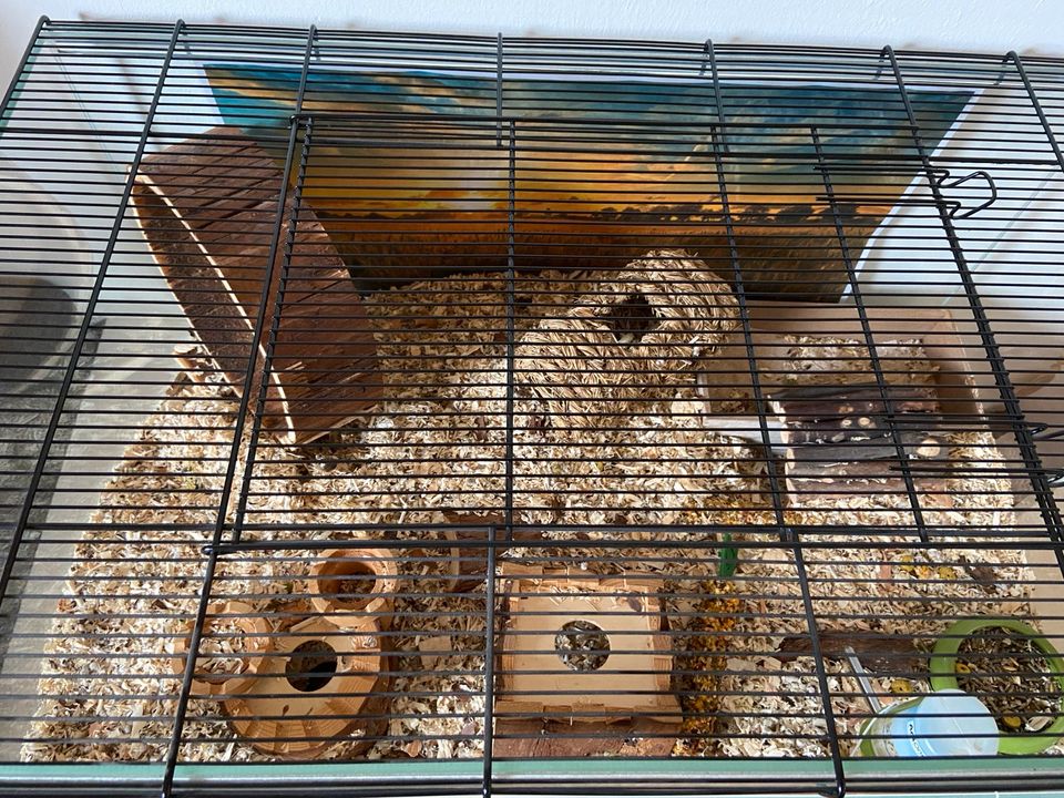 Nagarium für Hamster mit viel Zubehör in Meiningen