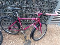 Rosa MTB top Zustand, für kleine menschen bis ca 165 cm. Nürnberg (Mittelfr) - Mitte Vorschau