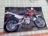 Poster HONDA Dominator Bayern - Garmisch-Partenkirchen Vorschau