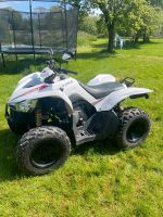 Kymco Maxxer 450i 4x4 Quad Schleswig-Holstein - Schuby Vorschau