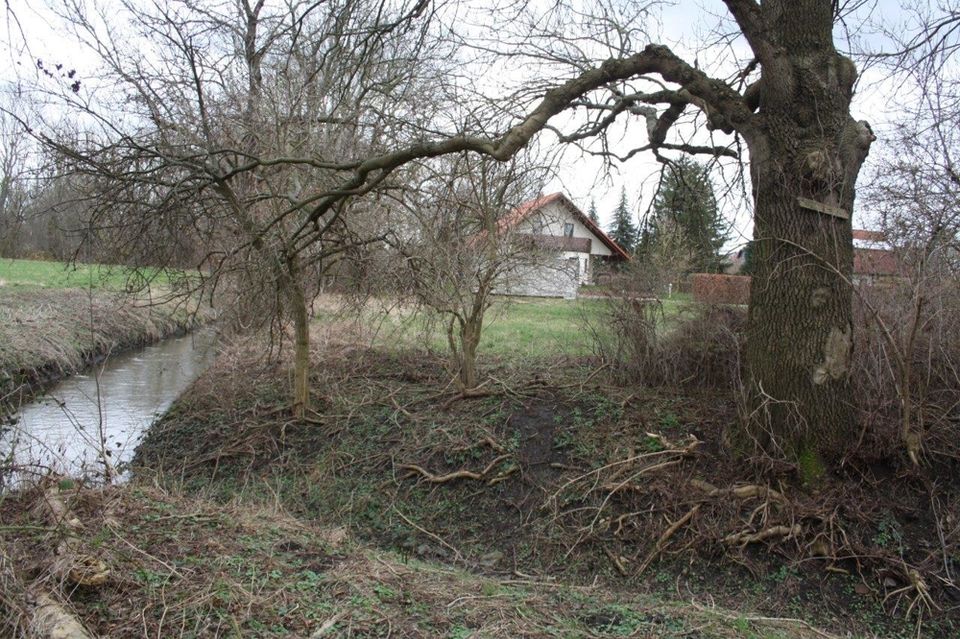 PROVISIONSFREI !!! Ruhig und naturnah - Großes Baugrundstück direkt am Bach (beschränkt bebaubar) in Landsberg (Saalekreis)