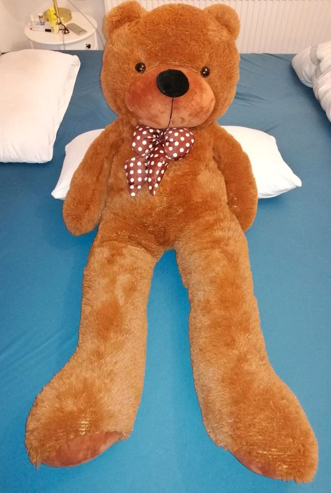 Großer Teddy Bär, ca. 120 cm, 2 Jahre alt in Lampertheim