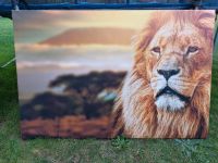 Leinwandbild 120x80 Löwe Gepard Afrika Thüringen - Waltershausen Vorschau