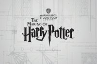 Harry Potter London Studio Tickets Kreis Pinneberg - Klein Offenseth-Sparrieshoop Vorschau