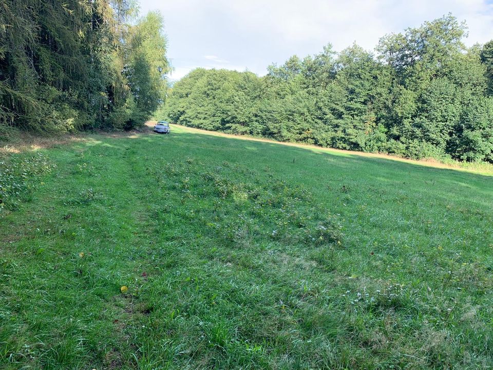 * Lederhose * A9 * An Feld & Wald * Wiese zum mähen zu verpachten in Lederhose