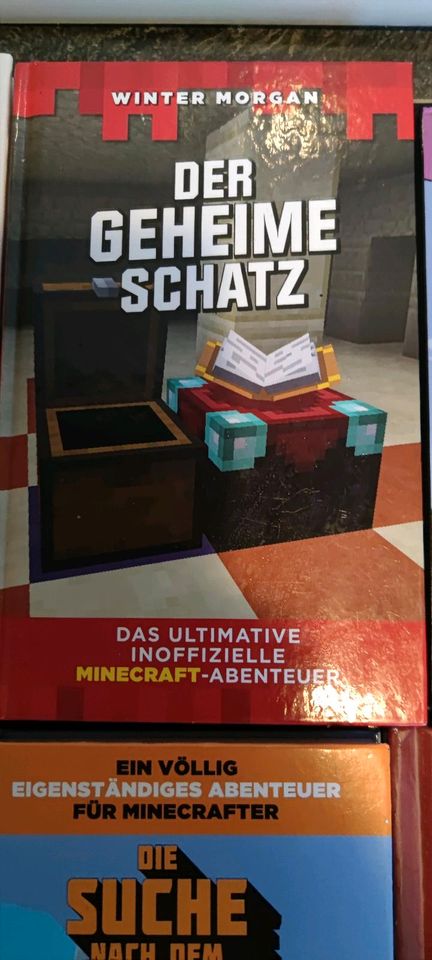 Minecraft Bücher in Braunschweig